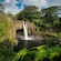 A tropical setting with a waterfall cascading into a pond
